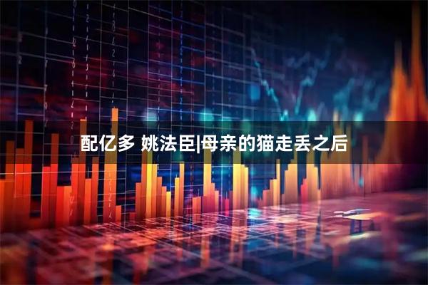 配亿多 姚法臣|母亲的猫走丢之后