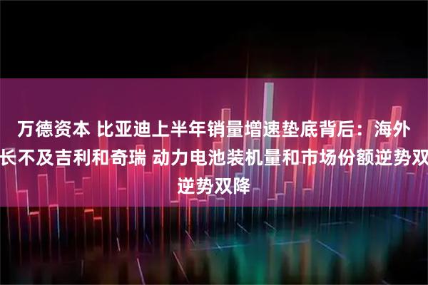 万德资本 比亚迪上半年销量增速垫底背后：海外增长不及吉利和奇瑞 动力电池装机量和市场份额逆势双降