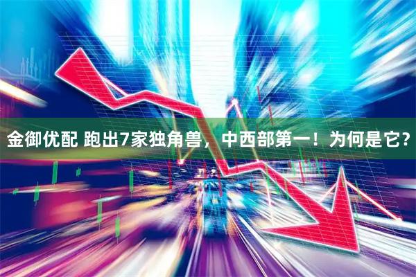 金御优配 跑出7家独角兽，中西部第一！为何是它？