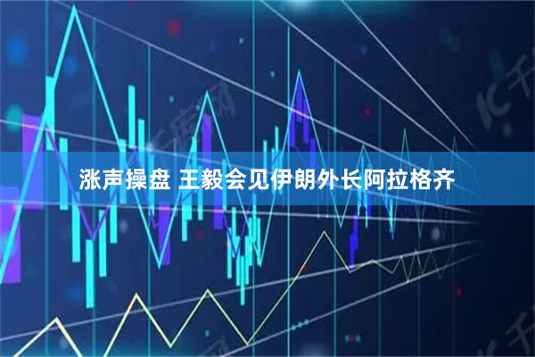 涨声操盘 王毅会见伊朗外长阿拉格齐