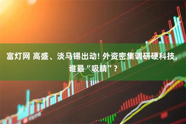 富灯网 高盛、淡马锡出动! 外资密集调研硬科技, 谁最“吸睛”?
